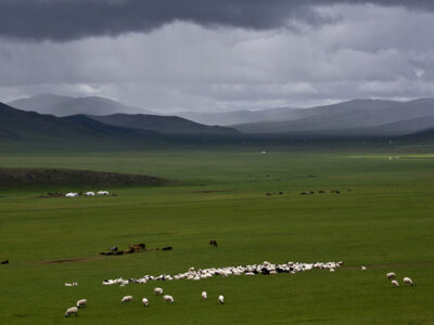 mongolia