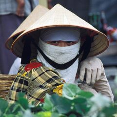 donna Vietnam