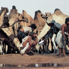 viaggio in Mauritania
